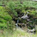 irland_0004