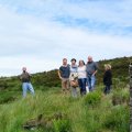 irland_0005