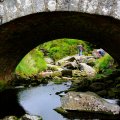 irland_0009