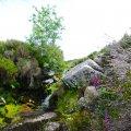 irland_0010