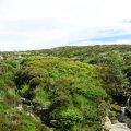 irland_0012