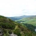 irland_0013