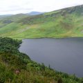 irland_0017
