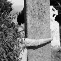 irland_0029