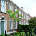 irland_0034