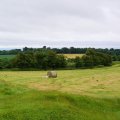 irland_0043