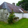 irland_0051