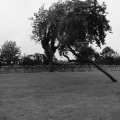 irland_0052