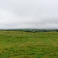 irland_0054