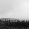 irland_0056