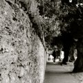 irland_0060