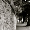 irland_0061