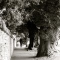 irland_0062