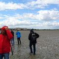 irland_0098