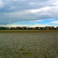 irland_0099
