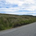 irland_0168