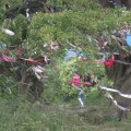 irland_0220