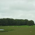 irland_0233