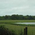 irland_0234