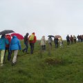 irland_0236