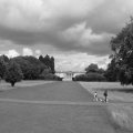 irland_0347