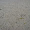 irland_0369