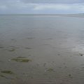 irland_0372