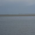 irland_0373
